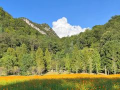 -花溪公园