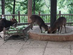 -昆明动物园