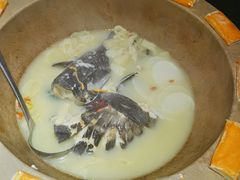 鲟鱼-滇小鱼·云南野生菌火锅(上杭路店)