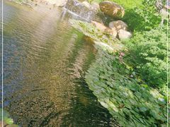 -太原星河湾酒店