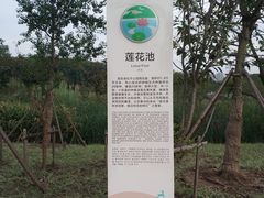 -昆山城市生态森林公园