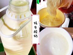 -山丹皇家马场