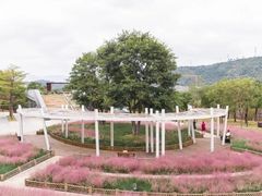 -牛岗山公园