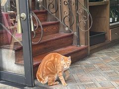 -Big Bamboo 大竹子体育主题餐厅(虹梅路店)