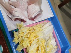 鱼翅-中山脆肉鲩(新圳东路店)