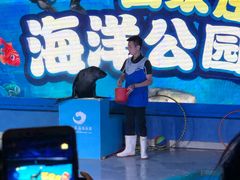 -石家庄海洋公园