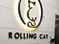 -滚猫咖啡·猫咖·猫友好撸猫(未来城店)
