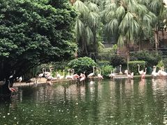 -九龙公园