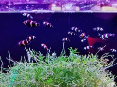 -沈阳海洋探索中心