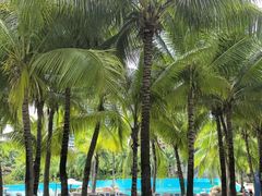 -亚马逊丛林水乐园