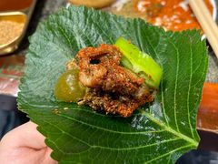 -佟爷·老北京炙子烤肉(动物园店)