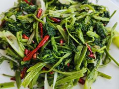 -庆岭迎宾园正宗活鱼馆