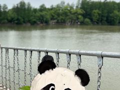 -东湖落雁景区