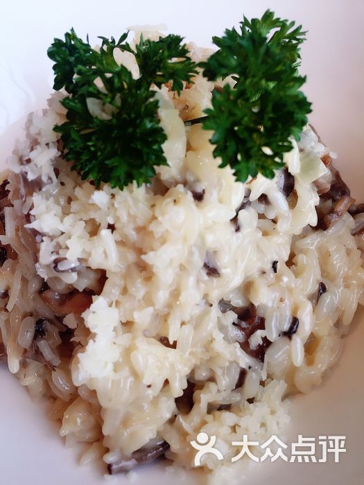 carbon北山十号法国餐厅蘑菇饭图片 - 第1629张