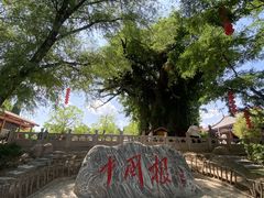 -大槐树寻根祭祖园
