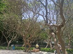 -晓港公园