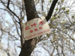 -山东师范大学(千佛山校区)
