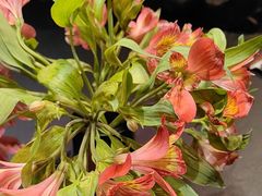 -江南雅厨(李公堤店)