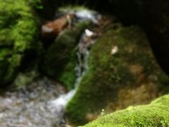 -五女峰国家森林公园