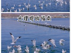 -小普陀