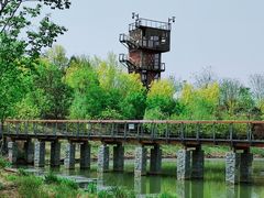 -东郊湿地公园