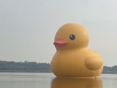 -深圳人才公园