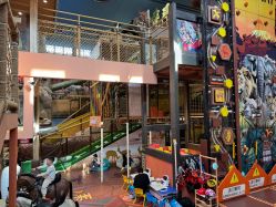 -卡通尼·Safari非洲探索乐园·生日会(金桥国际商业广场店)