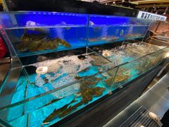 -苏格里岛自助烤肉海鲜火锅(成都金牛万达店)