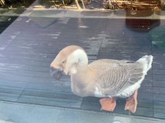 -春记潮汕牛肉火锅
