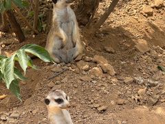 -石家庄市动物园