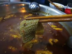 -水碾河肥兔火锅(水碾河店)