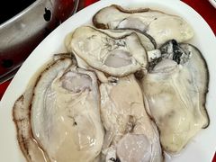 -花苑美食横琴生蚝火锅(拱北粤华路店)
