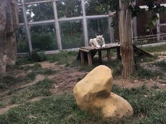 -临沂动植物园