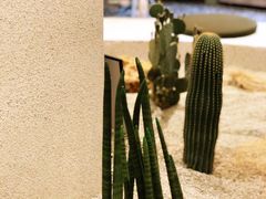 -OUR Bakery(SKP-S店)