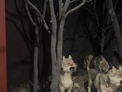 -南宫五洲植物乐园