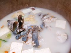 -滇小鱼·云南野生菌火锅(上杭路店)
