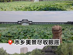 -锦溪古镇