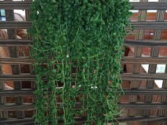 -福建鲤鱼洲酒店