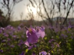 -江南大学(蠡湖校区)