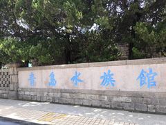 -青岛海底世界-水族馆