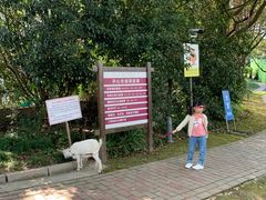 -上海佘山世茂艾美酒店