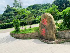 -清溪森林公园