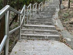 -野狸岛
