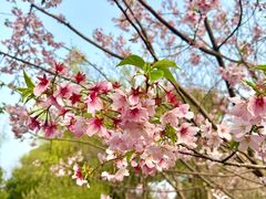 -梁鸿国家湿地公园