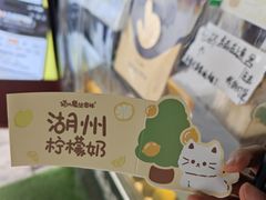 -猫的魔法密林(衣裳街店)