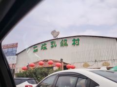 -石岐乳鸽村(桥观坊南四巷店)