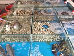 -本地渔村海鲜大咖(商业街店)