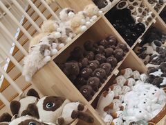 -鹏佳腾学生文创