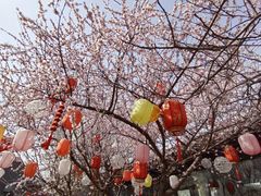 -三里河公园