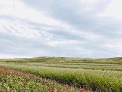 -草原天路(张北县)